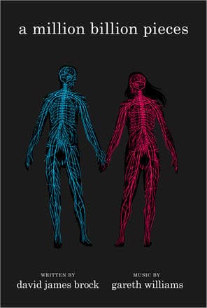 Cover of a million billion pieces